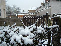 DSCF0029.JPG