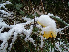 DSCF0026.JPG