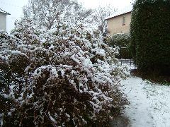 DSCF0025.JPG