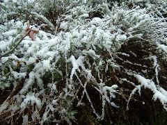 DSCF0024.JPG