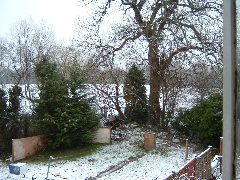 DSCF0022.JPG
