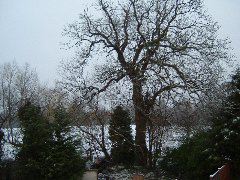 DSCF0021.JPG