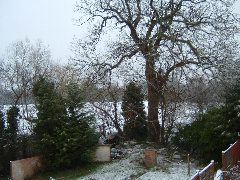 DSCF0020.JPG