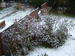 DSCF0018.JPG