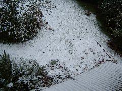 DSCF0017.JPG