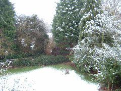 DSCF0016.JPG