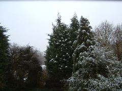 DSCF0015.JPG