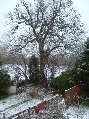 DSCF0013.JPG