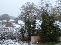 DSCF0011.JPG