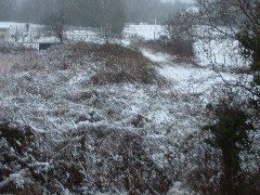 DSCF0009.JPG