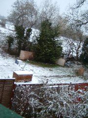 DSCF0006.JPG