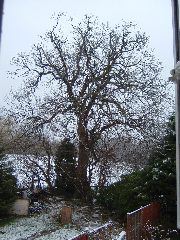 DSCF0004.JPG