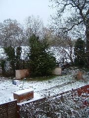 DSCF0003.JPG