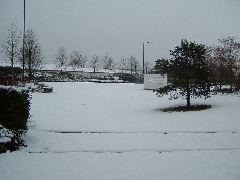 DSCF0126.JPG