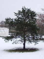 DSCF0124.JPG