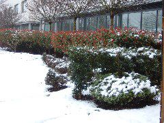DSCF0123.JPG