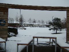 DSCF0119.JPG