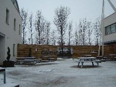 DSCF0115.JPG