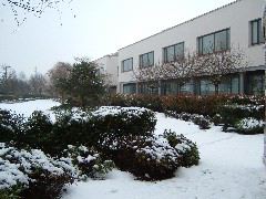 DSCF0113.JPG