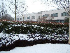 DSCF0109.JPG