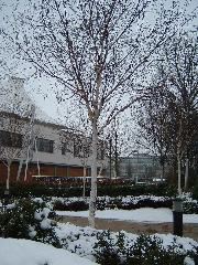 DSCF0106.JPG
