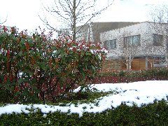 DSCF0105.JPG