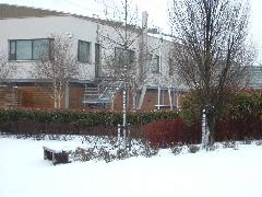 DSCF0102.JPG