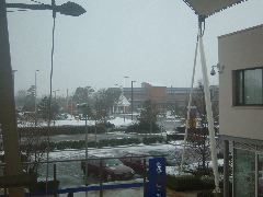 DSCF0146.JPG