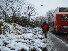 DSCF0095.JPG
