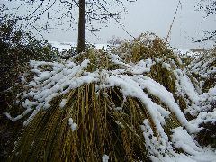 DSCF0094.JPG