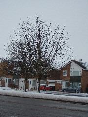 DSCF0093.JPG