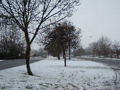 DSCF0092.JPG