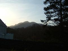 DSCF0021.JPG