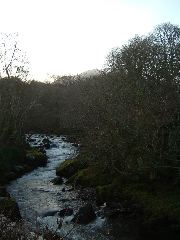 DSCF0029.JPG
