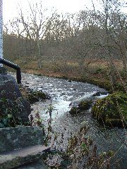 DSCF0026.JPG