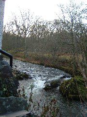 DSCF0024.JPG