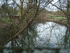 DSCF0128.JPG