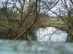 DSCF0127.JPG