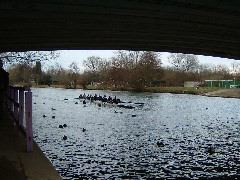 DSCF0091.JPG