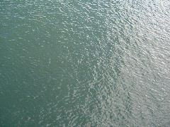 DSCF0047.JPG