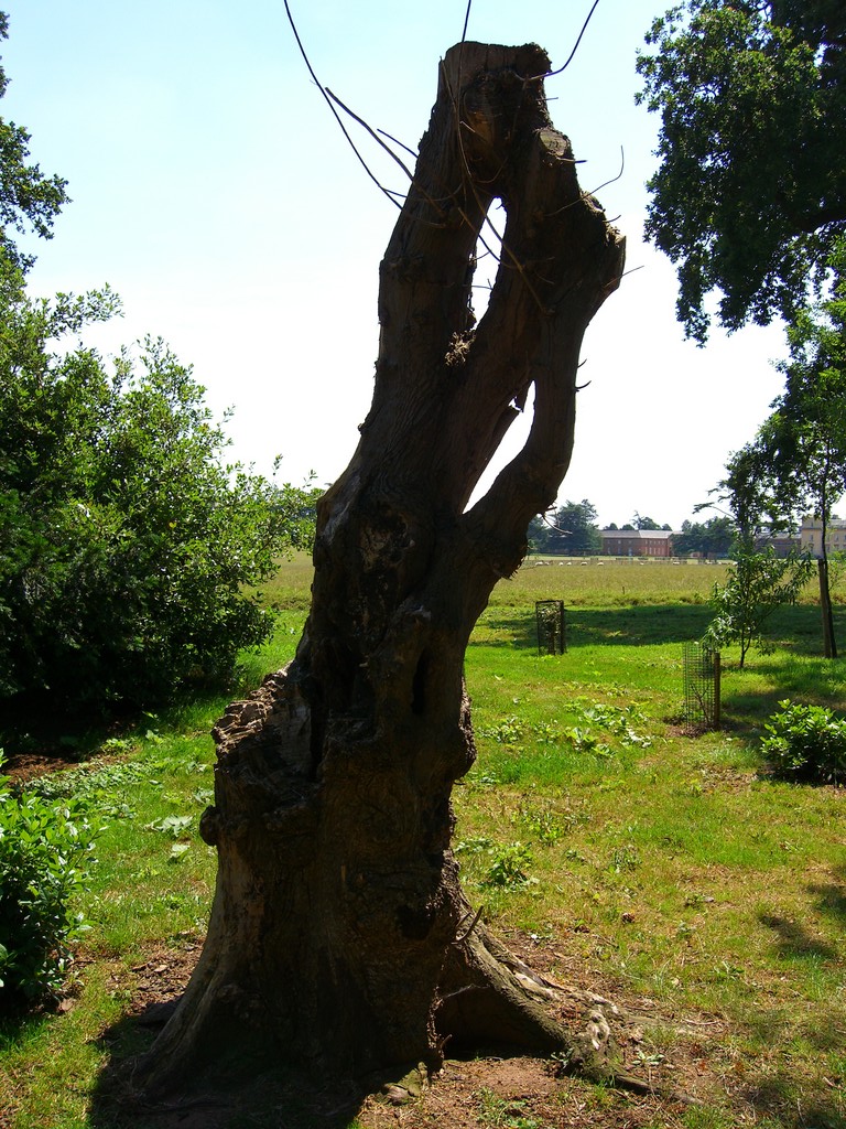 cimg0024