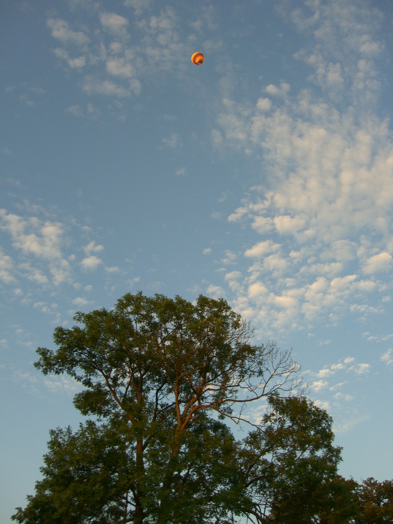 cimg0054