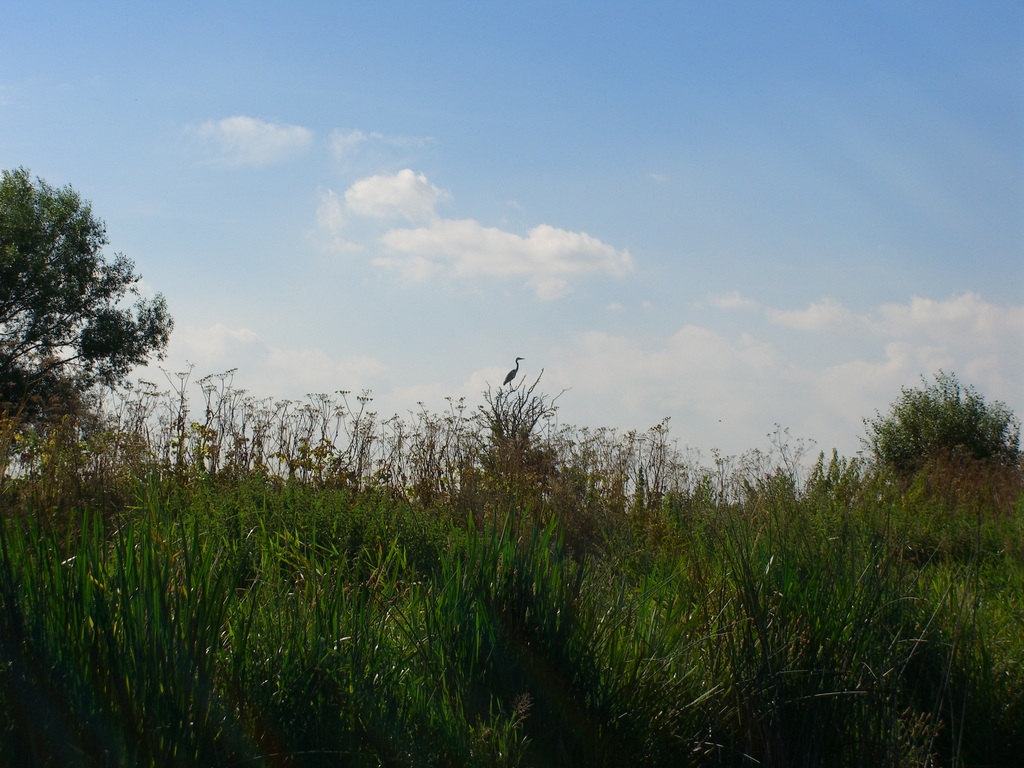 cimg0088