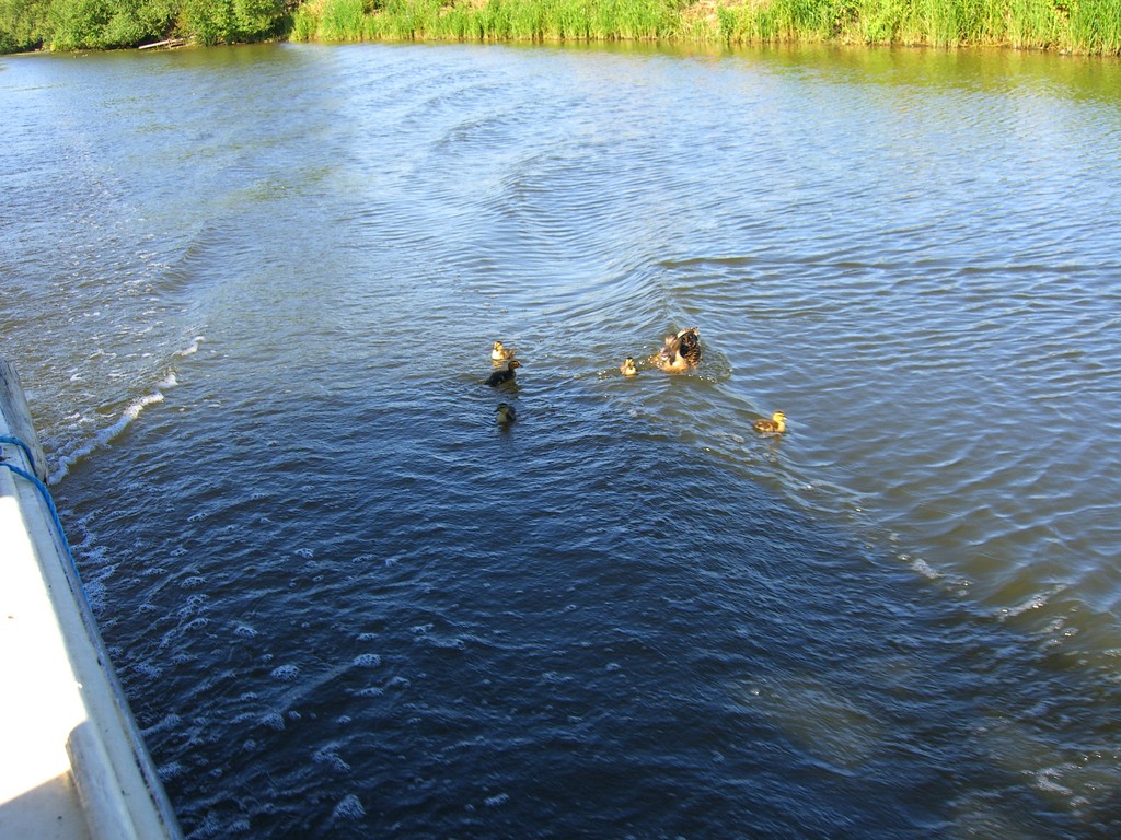 cimg0096