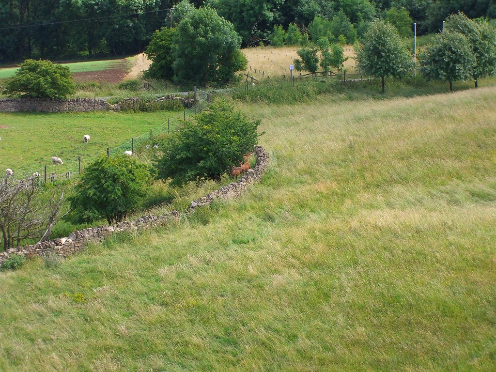 cimg0228