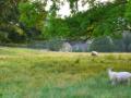 Bredon_200507/cimg0021.jpg