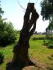Bredon_200507/cimg0024.jpg