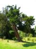 Bredon_200507/cimg0026.jpg