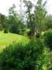 Bredon_200507/cimg0037.jpg