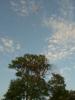 Bredon_200507/cimg0053.jpg